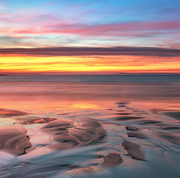 Focus2026的个人资料头像