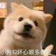 用户6008248500071头像