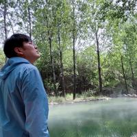 戴同学旅行头像