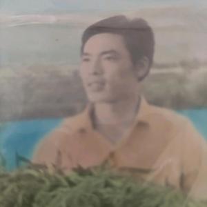 昨夜星辰影视头像