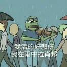 o的个人资料头像