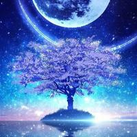 清风379214445137头像