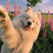 福霖的个人资料头像