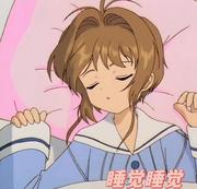 睡觉睡觉的个人资料头像