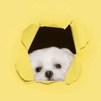 用户263258148722头像