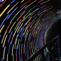 有想法的本地仔头像