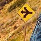 幻听在掘金的个人资料头像