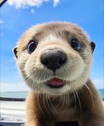 睡醒就暴富_的个人资料头像