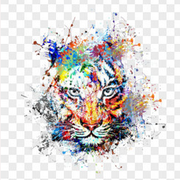 leetiger的个人资料头像