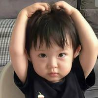 一丝不苟鲸鱼msi头像