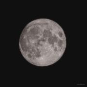 健康死亡的个人资料头像