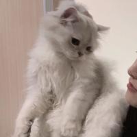 杀手8995头像