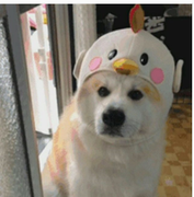 用户4465512373463的个人资料头像