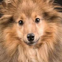 用户9469981586342头像