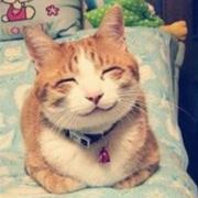 树枝142的个人资料头像