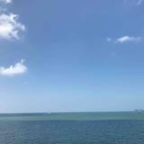 财大pDd头像