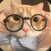 我得劲就行的个人资料头像