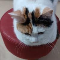 神秘星辰EJ头像