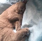 JK1472367307124的个人资料头像