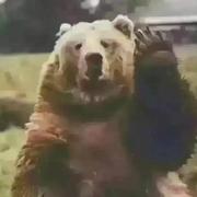 ershing的个人资料头像