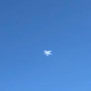 shelbin的个人资料头像