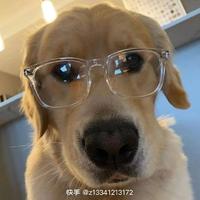 阿健3305头像