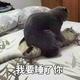 冷傲1636头像