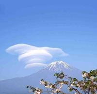 马到成功124476130头像