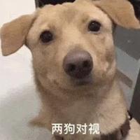 93759317头像