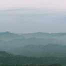 dianweita在掘金的个人资料头像