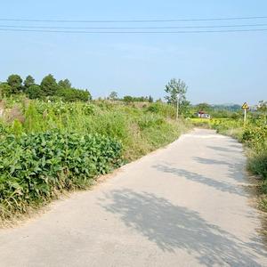 湛湛小宝贝头像