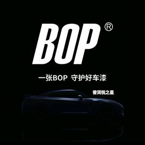 普洱悦之星BOP保镖旗舰店隐形车衣头像