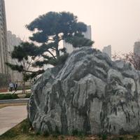 落叶归根我归你143头像