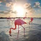 辉不想说话86656的个人资料头像