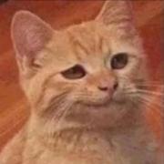 燕阳的个人资料头像