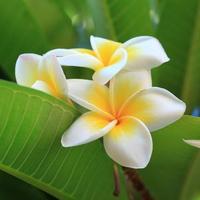 幽默的范某人头像