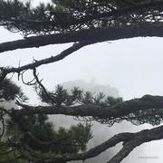 zhaogangxp的个人资料头像