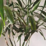 蓝色海洋4812头像