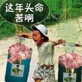 蓝天五阿哥头像