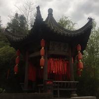 午后前言40头像