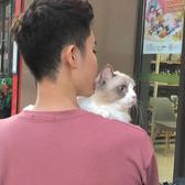 一荒YIHUANGWS头像