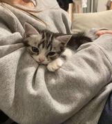 拒绝香菜的个人资料头像