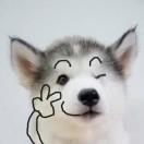 倚栏听风的个人资料头像