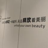 南岛十一头像