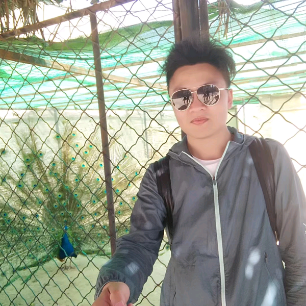 可以去流浪头像