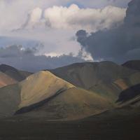 涨涨的知识头像