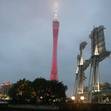 王教练头像