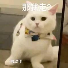 景阳冈大脑腐头像