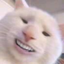 qweasdzxc的个人资料头像