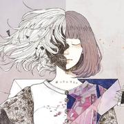 481zch的个人资料头像